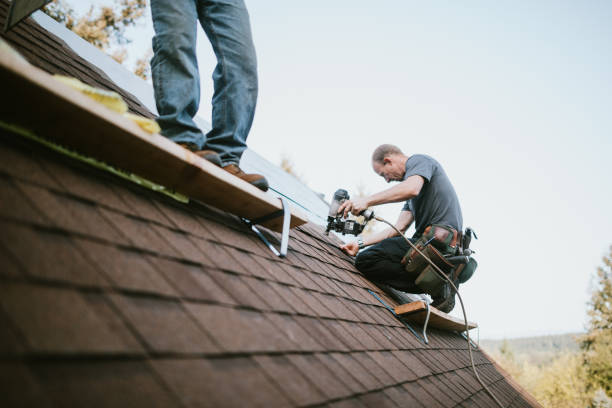 Quick and Trustworthy Emergency Roof Repair Services in West Slope, OR